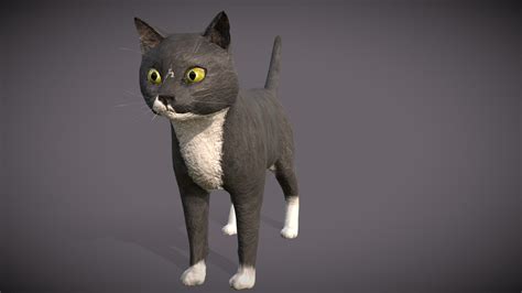 My Cat Modeled Download Free 3d Model By Lilyjoyhanna 28d33c1