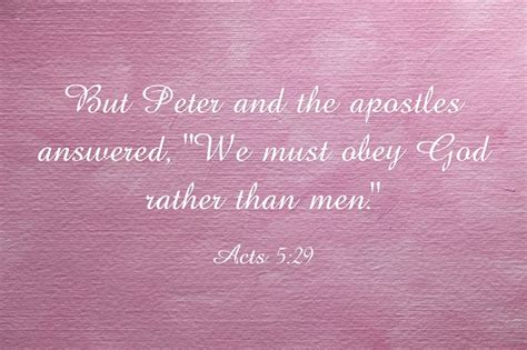 Read commentary on this popular bible verse and understand the real meaning behind god's word using john gill's he is said f8 to be the interpreter of peter, and to have wrote his gospel from what he heard from him; Acts 5: Bible Study, Commentary and Summary | Jack Wellman