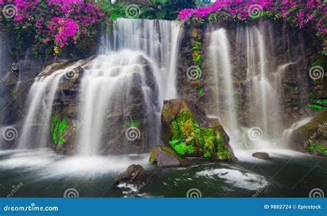 Cascading Waterfall Stock Photo Image Of Brook Calm 9882724