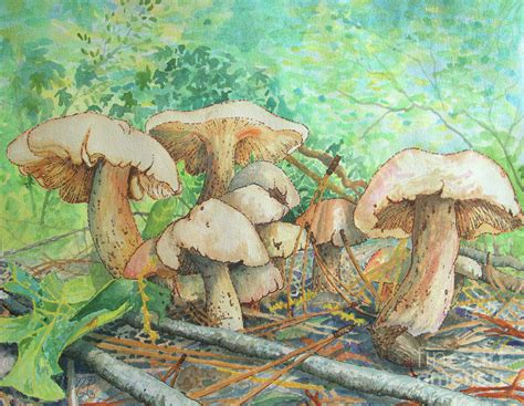 Marvelous Mushrooms Hidden In Gibbs Gardens Painting By Nicole Angell