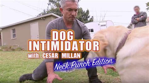 Dog Whisperer Or Misunderstanding Dominance The Mind Of Cesar Millan