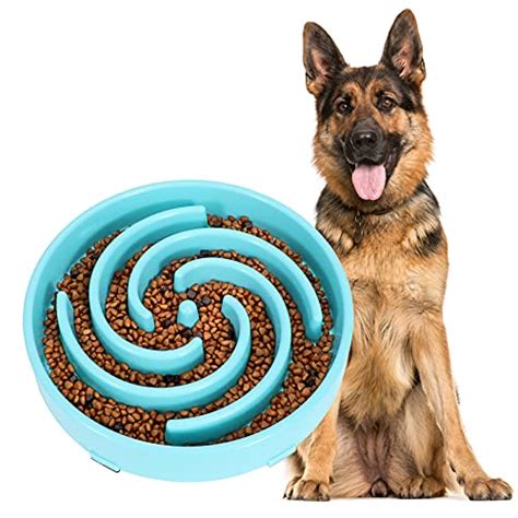 Revolutionize Your Dogs Mealtime With These 10 Slow Dog Food Feeders