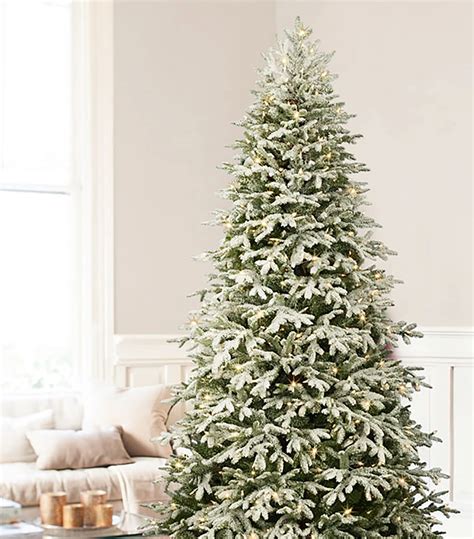 Balsam Hill Frosted Fraser Fir Candlelight Christmas Tree 75ft