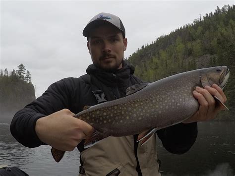 Another Beauty Northern Ontario Brook Trout Rflyfishing