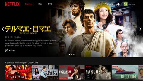 How To Access Japanese Netflix From Any Location