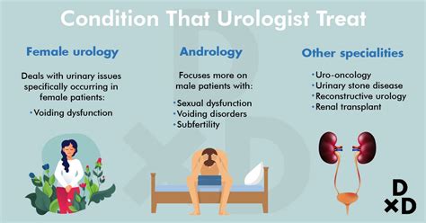 the ultimate guide to seeing a urologist in singapore 2021 human