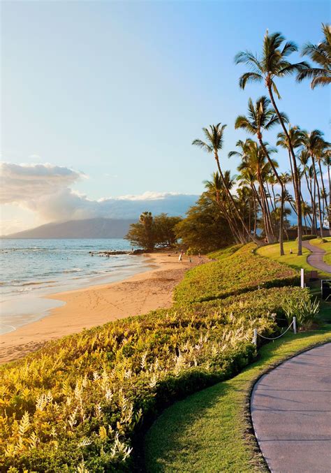 Hawaii Beach Scenes Wallpapers Top Free Hawaii Beach Scenes