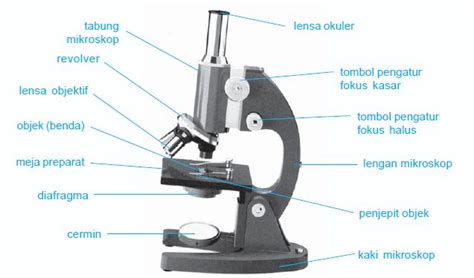 Pengertian Dan Cara Menggunakan Mikroskop Serta Bagian Bagian Mikroskop