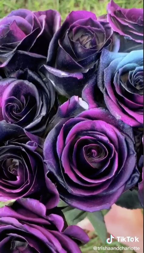 Heres How You Can Make Your Own Galaxy Roses Purple Flower Pictures