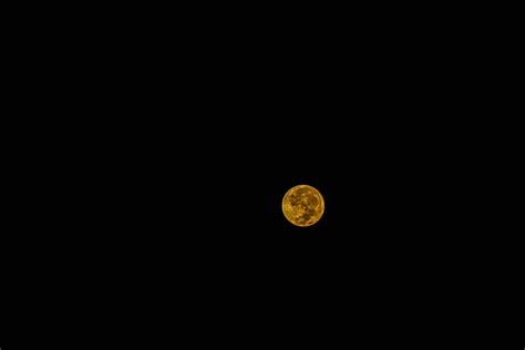 Download A Monochromatic Night Sky Filled With A Bright Yellow Moon