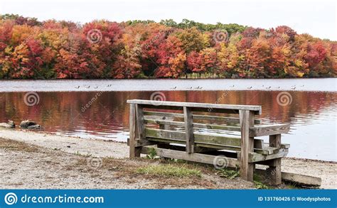 Trees Changing Color In Autumn Stock Photo Image Of Orange Tranquil