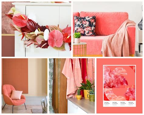 Pantone Color Of The Year 2019 Anthurium English