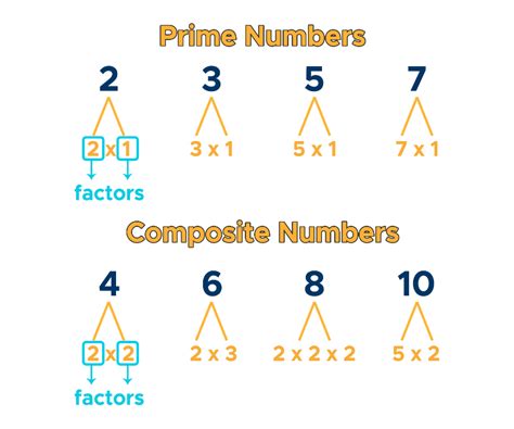 Prime Numbers Factorization And Factor Tree Curvebreakers