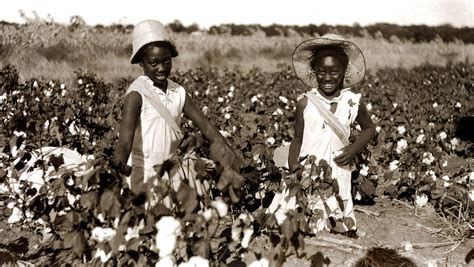 Children Picking Cotton Late 1800s Photograph By Everett Fine Art
