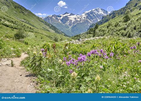 Road In The Mountains Between Green Alpine Meadows And A Mountain River