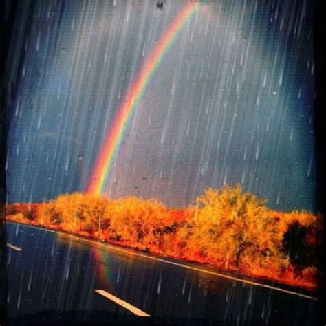 Rain And Rainbow Rainbow Rain Over The Rainbow Love Rain Rainbows