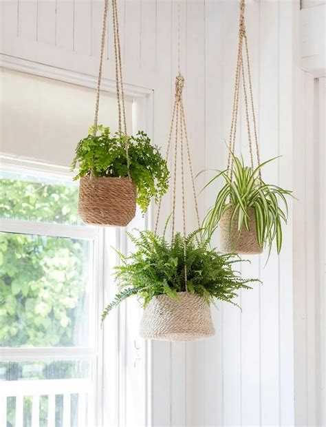30 Hanging Planter Ideas Indoor