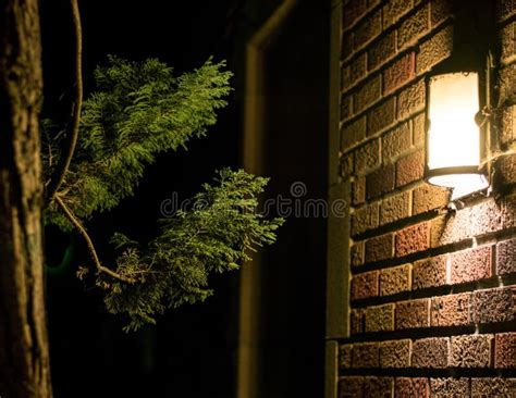 Light And Tree On Brick Wall Stock Image Image Of Gate Design 144822271