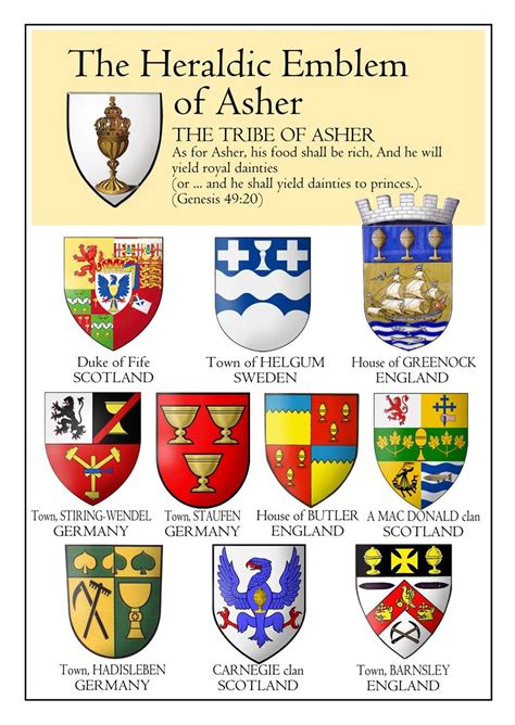 Emblems Of The Tribe Of Asher Bible History 12 Tribes Of Israel Tribe
