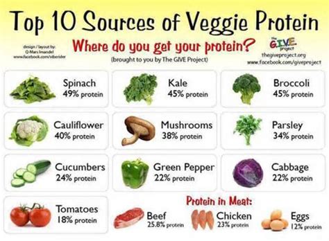 Protein Food Sources