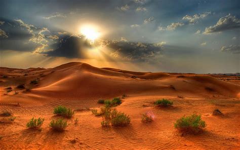 Green Screen Background Videos Free Download Desert Landscape Summer