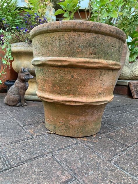 Hand Thrown Tall Terracotta Vintage Plant Pot In West Bridgford