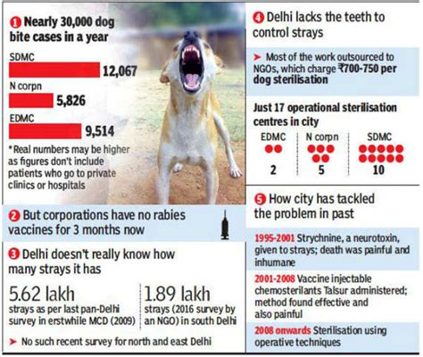1 000 people at delhi s rml for anti rabies shot here s why delhi news times of india