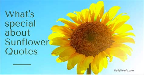 Flower quotes and puns are a fun and unique way to show your valentine just how much you care choose a sincere flower quote to express deep feeling or send a funny flower pun to put a smile on. What's special about Sunflower Quotes | Sunflower quotes, Sunflower poem, Flowers name in english