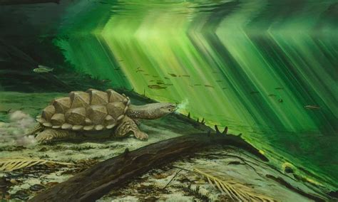 Ancient 150 Million Year Old Ancestor Could Explain How Turtles Evolved