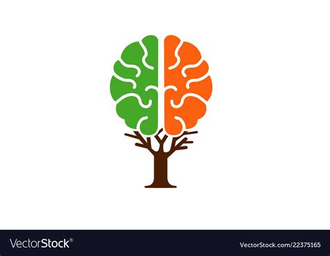Brain Tree Logo Royalty Free Vector Image Vectorstock