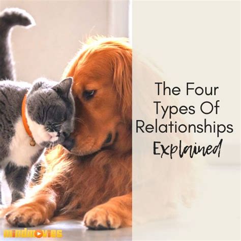 the four types of relationships explained types of relationships relationship relationship help