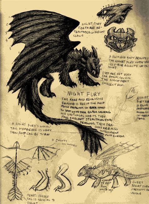 Book Of Dragons Night Fury Page Image Night Fury Hatchlings Kids