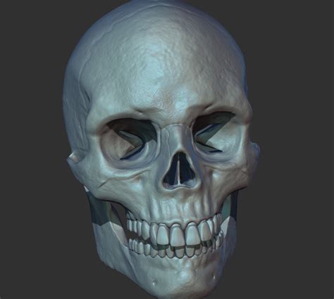 Human Skull 3d Ready To Print 3d Model 3d Printable Cgtrader
