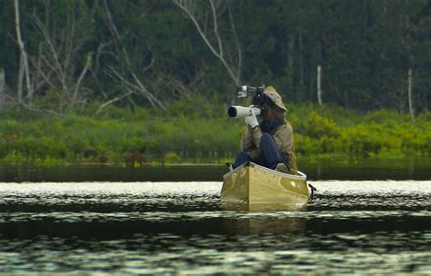 Everglades Photographer And Nature Photography Artist Constance Mier