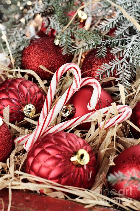 Candy Canes And Red Christmas Ornaments Photograph By Stephanie Frey