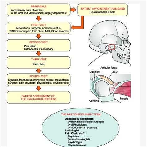 Correlations Between Jaw Function Limitation Scale And Pain