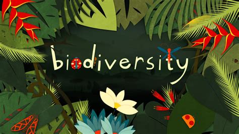 Why Is Biodiversity So Important The Kid Should See This