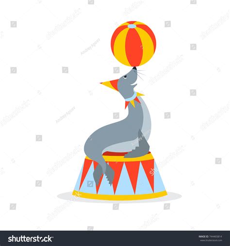 Evolution Residence Man Birth Old Age Stock Vector Royalty Free