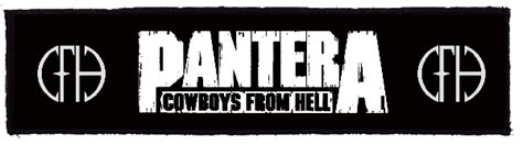 Patch Pantera Logo Cfh Superstrip Hbg Bestialro