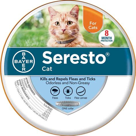 Colds in cats are minor respiratory infections, but they still need to be treated. Seresto Flea and Tick Collar for Cats Bayer ( - Flea Tick ...