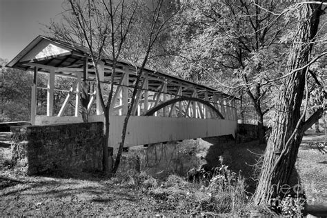 Fall Foliage At The Dr Knisley Covered Bridge Black And White
