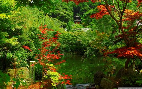 Zen Garden Hqfx Backgrounds