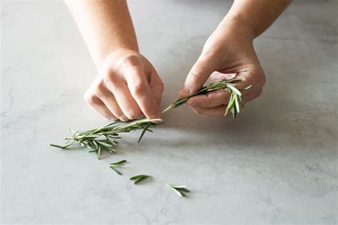 How A Clever Cook Quickly Gets Herbs Off The Stem
