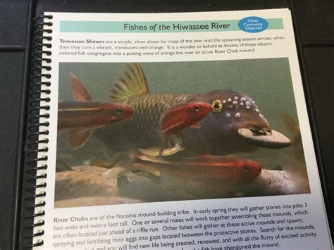 Virginia Tech Ichthyology Class Book Review Grab Your Mask And