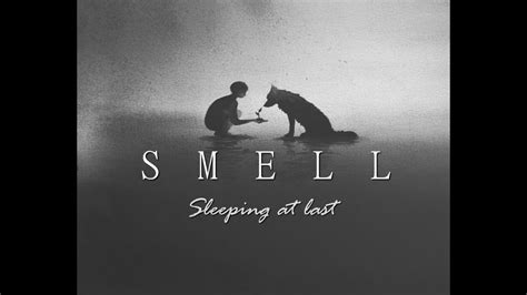 I've waited a hundred years but i'd wait a million more for you nothing prepared me for what the privilege of being yours would do. Sleeping at last - Smell (LYRICS video) - YouTube