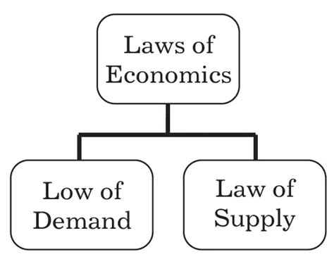 Laws Of Economics Definition Nature Type Demand And Supply