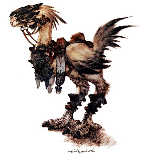 Chocobo The Final Fantasy Wiki Has More Final Fantasy Information