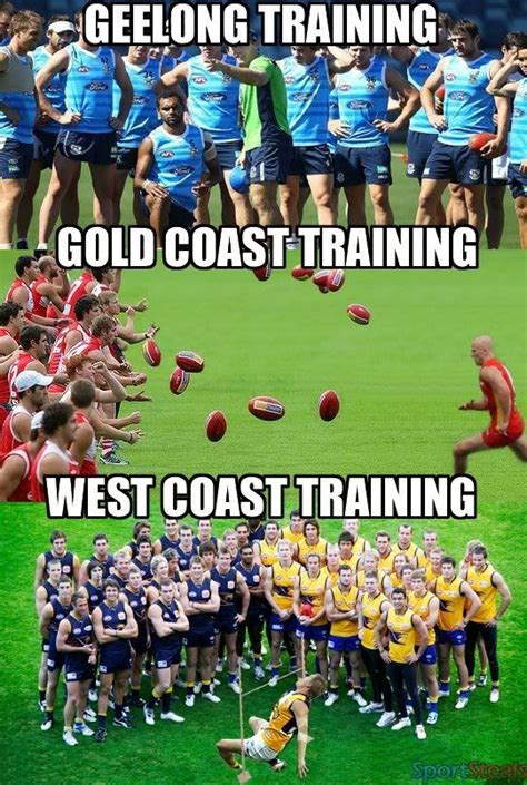 Geelong cats video highlights are collected in the media tab for the most popular matches as soon as. Afl memes | Aussie memes, Football memes, Sports memes