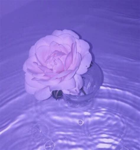 Purple Theme💜 Lavender Aesthetic Violet Aesthetic Purple Aesthetic