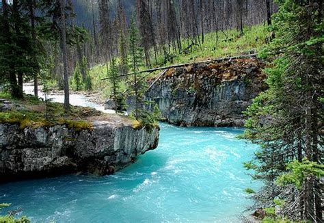 Turquoise River Bc Canada Places To Visit Pinterest Canada